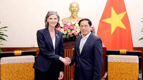 Việt Nam đề nghị UNDP tiếp tục hỗ trợ nguồn lực